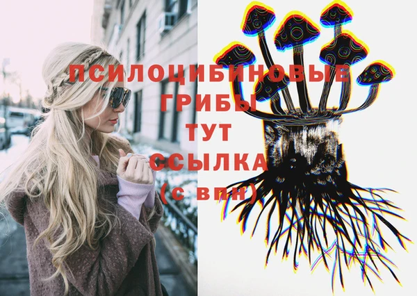 стафф Абаза