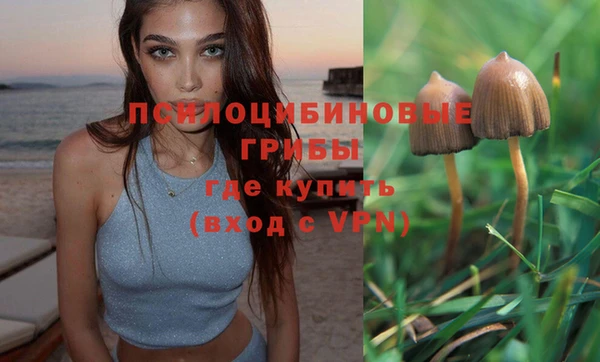 стафф Абаза